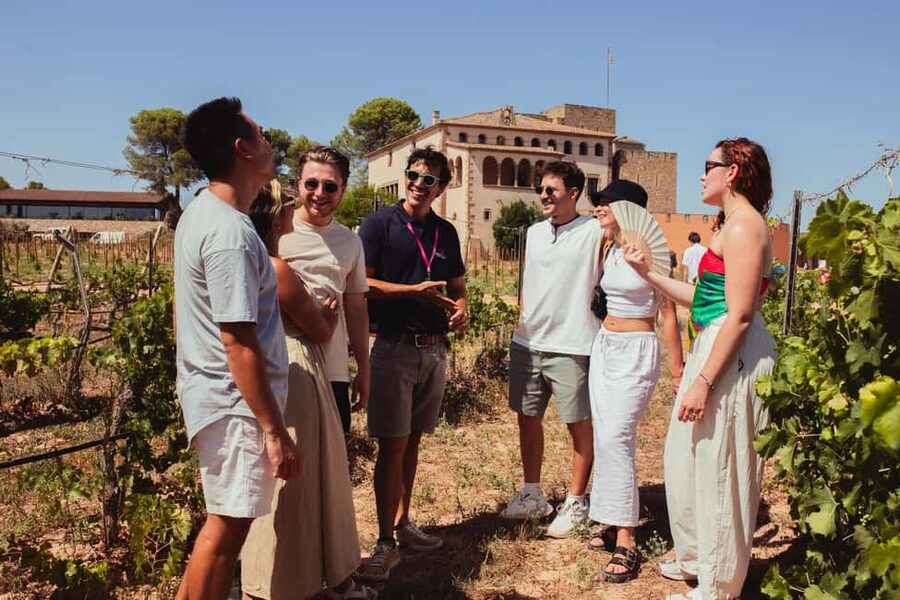 From Barcelona: Full-Day Montserrat & Wine Small Group Tour - Price and Value: What $117 Really Covers