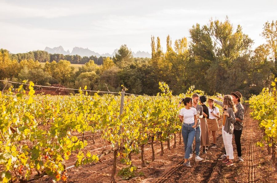 From Barcelona: Full-Day Montserrat & Wine Small Group Tour - Should You Book This Montserrat and Wine Day Trip?