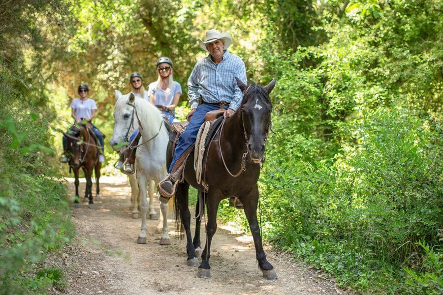 From Barcelona: Half-Day Montserrat & Horse Riding Tour - Who This Tour Suits Best (and Who Should Rethink It)