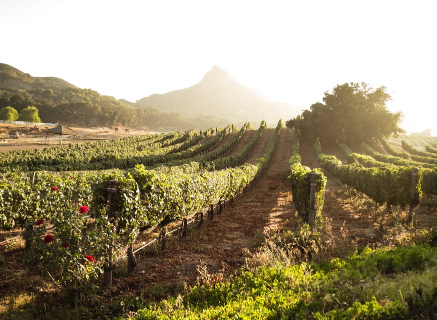 From Barcelona: Half-Day Trip to Montserrat Mountain - Should You Book This Private Montserrat Half-Day Trip?