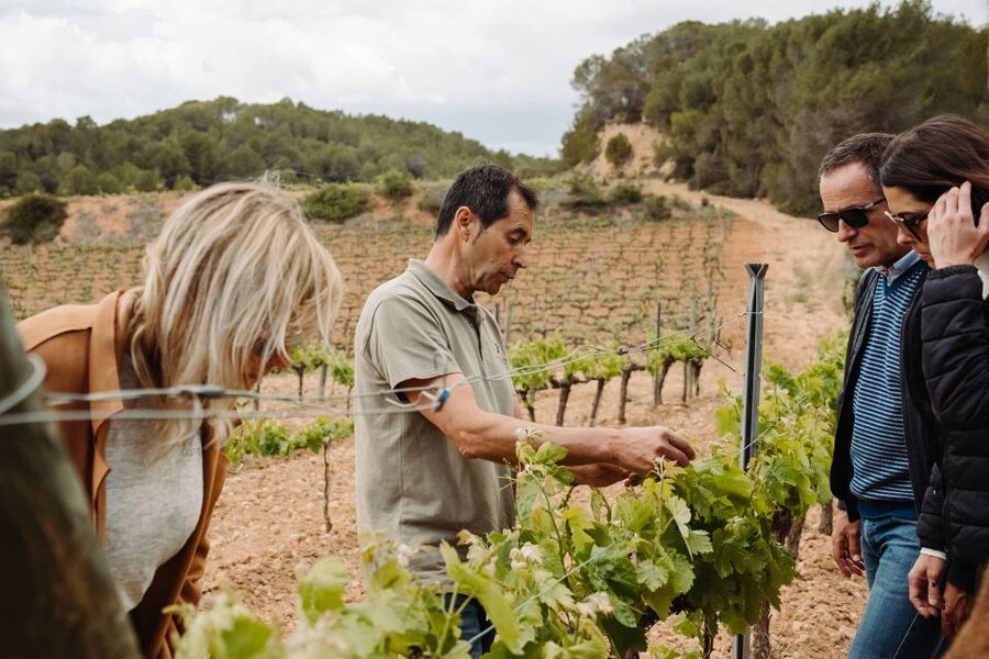 From Barcelona: Montserrat & Cava Winery Day Trip - Farm-to-table lunch in the vineyard, plus a solid pairing