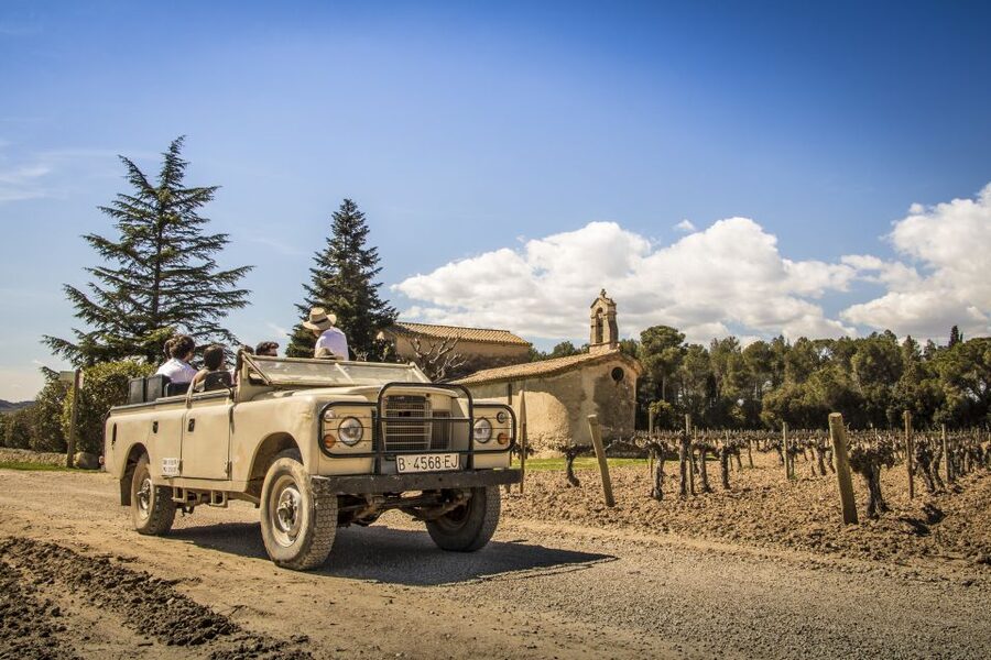From Barcelona: Penedés Vineyards Tour by 4WD w/Wine & Cava - Pere Ventura Cava: Capella Cellars, Oldest Parts of the Estate, and 4 Cavas
