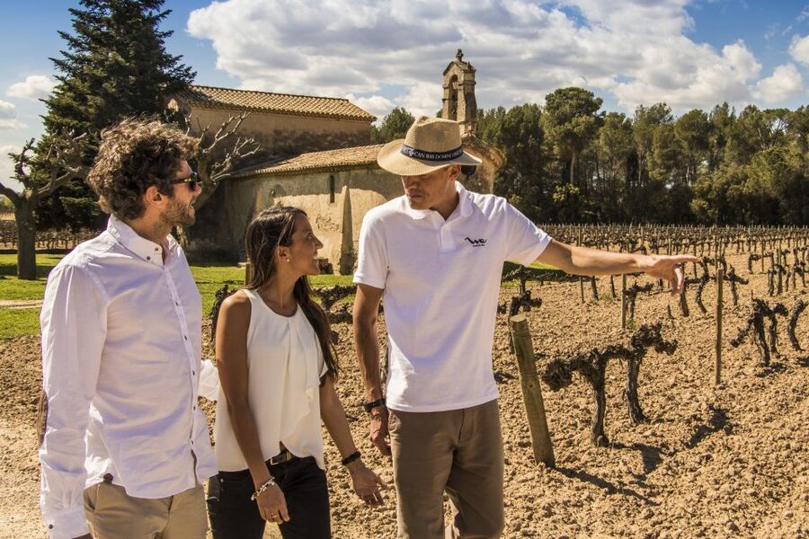 From Barcelona: Penedés Vineyards Tour by 4WD w/Wine & Cava - Cheese and Charcuterie Pairings: How to Use the Food to Taste Better