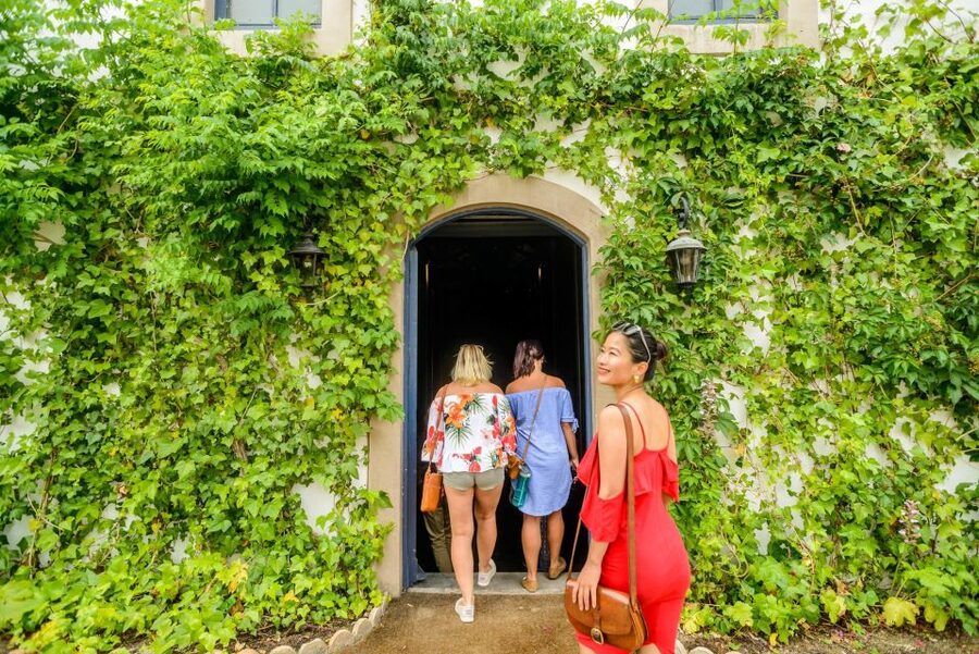 From Barcelona: Penedés Vineyards Tour by 4WD w/Wine & Cava - Value Check: Is $85 Per Person Worth It?