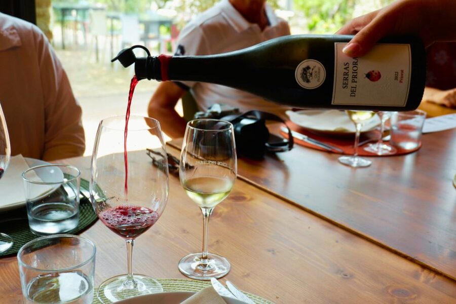 From Barcelona: Priorat's Exclusive Cellars, Wines & Nature - Key Highlights You Should Know
