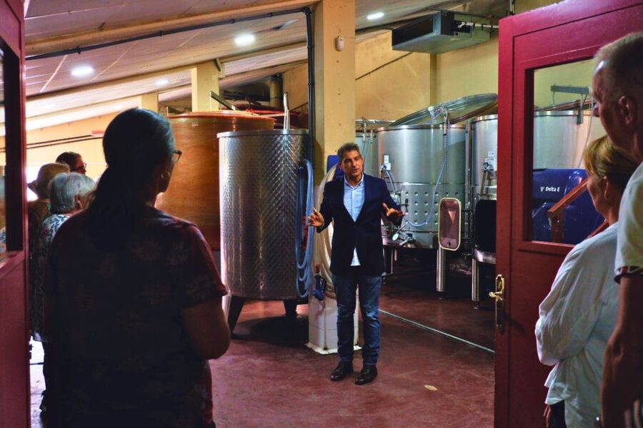 From Barcelona: Priorat's Exclusive Cellars, Wines & Nature - Stop One: Your First Winemaker-Hosted Tasting Session