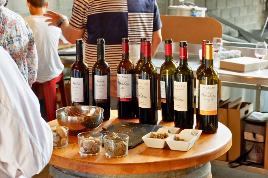 From Barcelona: Priorat's Exclusive Cellars, Wines & Nature - Value for Money: When $877 Feels Right (and When It Doesn’t)