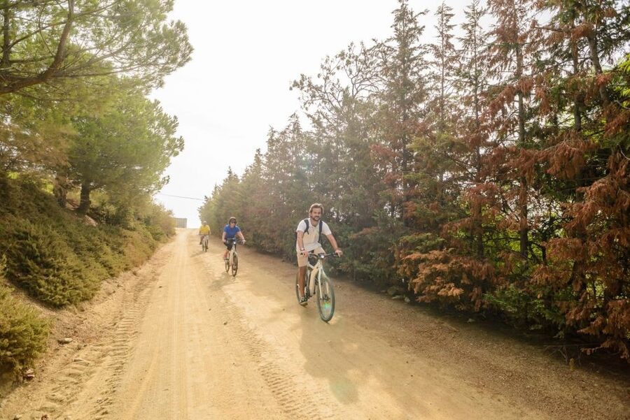 From Barcelona: Private Alella Wine Tour by Electric Bike - Should you book the private Alella wine e-bike tour?