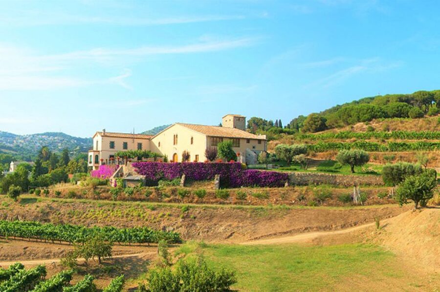 From Barcelona: Private Alella Wine Tour by Electric Bike - Alella arrival: vineyard walk and what an organic winery visit actually means