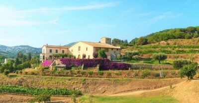 Private Alella Wine Tour by Electric Bike
