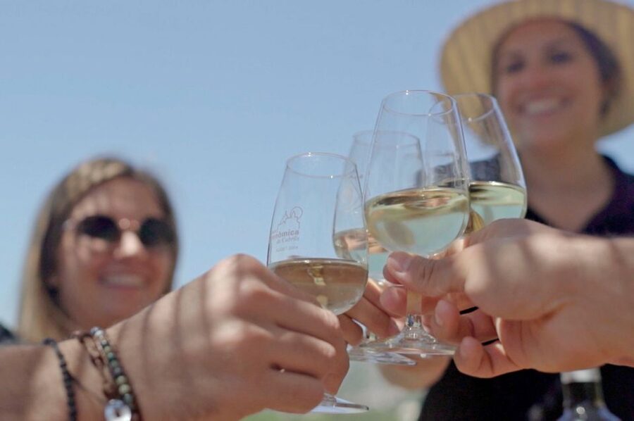 From Barcelona: Private Alella Wine Tour by Electric Bike - The 4-wine tasting, and how to get the most out of it