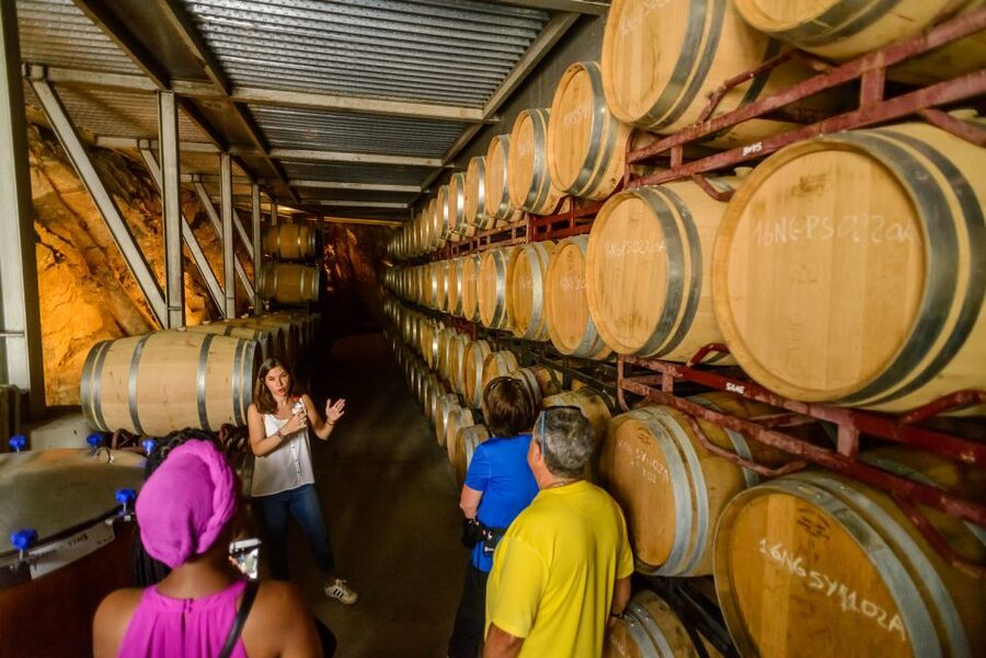 From Barcelona: Private Alella Wine Tour by Electric Bike - The vineyard picnic with bread and cheese, plus that relaxed al fresco feeling