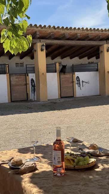 From Barcelona: PRIVATE Horseback Ride + Tapas + Wine Picnic - Why this Penedès horse ride + tapas day feels like a real detour from Barcelona