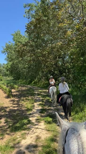 From Barcelona: PRIVATE Horseback Ride + Tapas + Wine Picnic - Getting ready at the ranch: comfort, horses, and first-time nerves