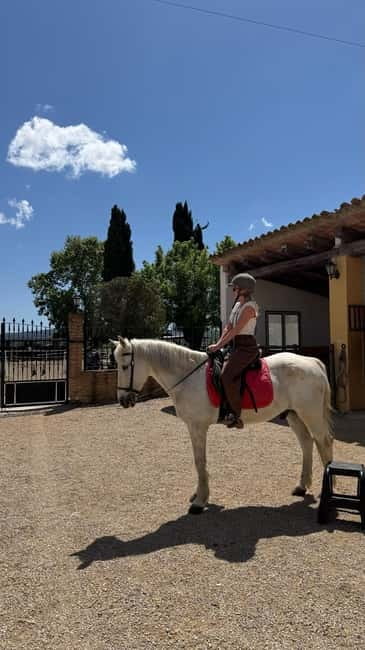 From Barcelona: PRIVATE Horseback Ride + Tapas + Wine Picnic - Pica pica tapas after the ride: what the countryside break is really about
