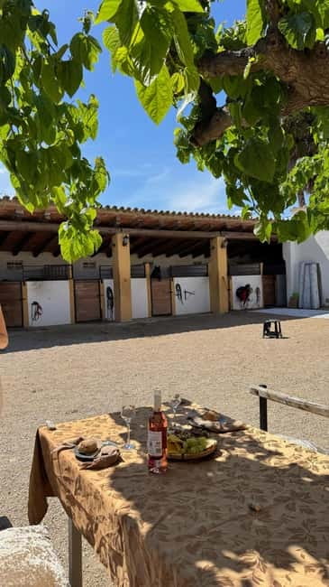 From Barcelona: PRIVATE Horseback Ride + Tapas + Wine Picnic - Transport quality and the private-group advantage from Barcelona