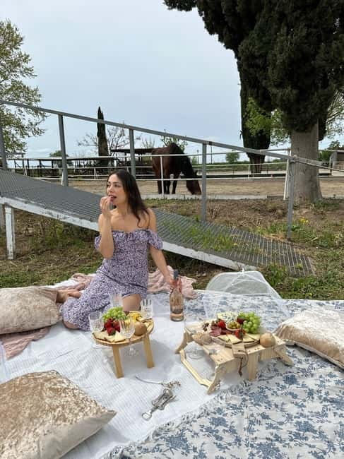 From Barcelona: PRIVATE Horseback Ride + Tapas + Wine Picnic - Who this is best for (and who might want a different style of trip)