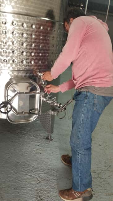 From Sitges: Wine Tasting at 2 Wineries, Snacks and Pickup - Good fit for wine lovers, and a few not-so-great matches