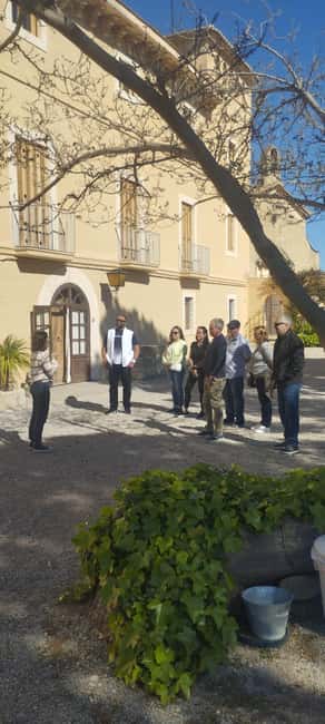 From Sitges: Wine Tasting at 2 Wineries, Snacks and Pickup - What you learn here, and why that matters more than the label
