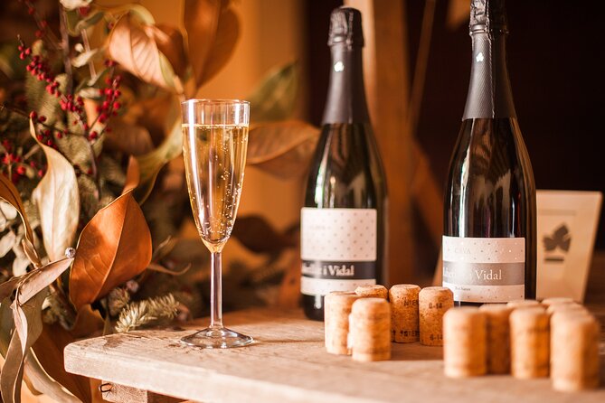 High-End Vineyard Escape: Cava, Tapas & Wine | Private Tour - The Ca nEstella Tastings: Cava Styles, Specific Names, and Award Attention
