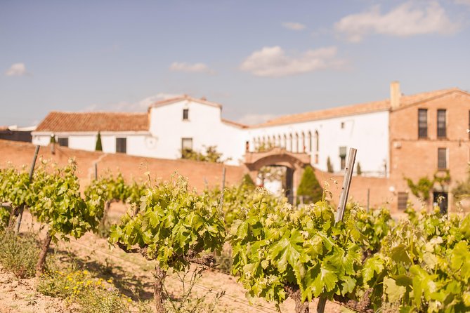 High-End Vineyard Escape: Cava, Tapas & Wine | Private Tour - Food on the Day: Catalan Classics, plus Vegan and Gluten-Free Options