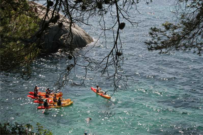 Kayak and Snorkel in Playa de Aro, Costa Brava - Playa de Aro and Cavall Bernat: Why This Part of Costa Brava Works