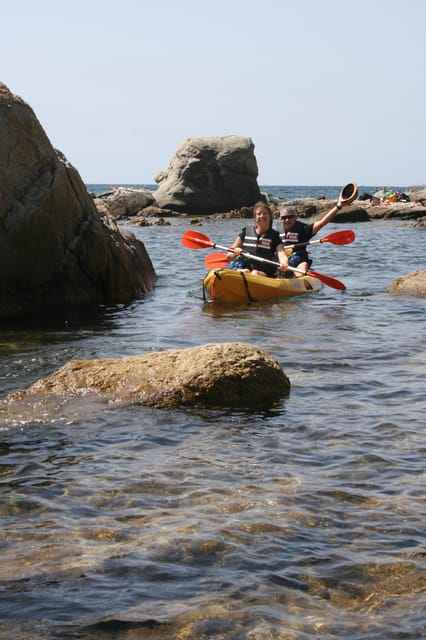 Kayak and Snorkel in Playa de Aro, Costa Brava - Snorkeling Stops: The Sea Life You Can Actually Expect to See