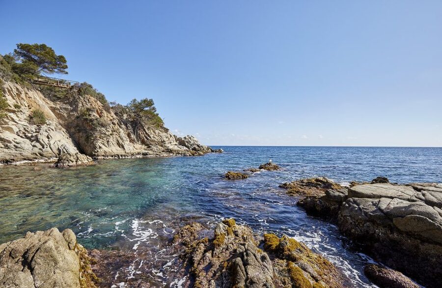 Lloret de Mar: Costa Brava Kayak Tour and Swimming - Easy Double Kayaks and a Safety Brief That Actually Helps