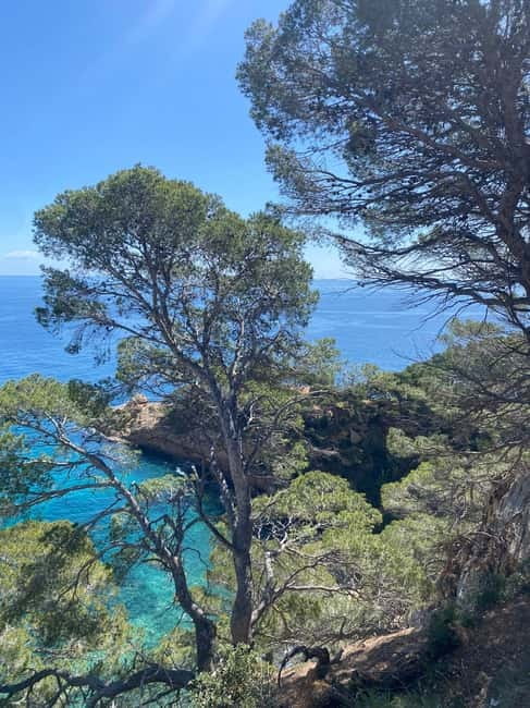 Lloret de Mar: Guided Sightseeing Tour in a 4x4 Vehicle - Who this tour fits best, and who should skip it