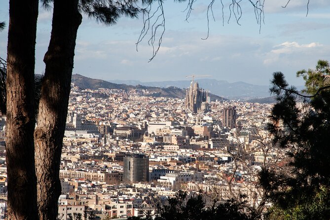 Montjuïc Walking Tour With Optional Flamenco Show - Where you start and how the route shapes the experience