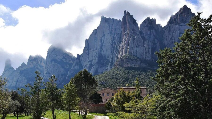 Montserrat & Cava Wineries Day Trip from Barcelona w/ Pickup - Three Cavas and Tapas: What You Actually Taste and Why It Matters