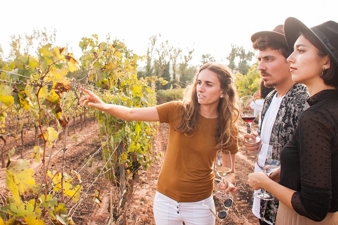 Montserrat & Cogwheel Train, Gourmet Wine Tasting & Tapas/Lunch - Free time at Montserrat: plan for short walks and real atmosphere