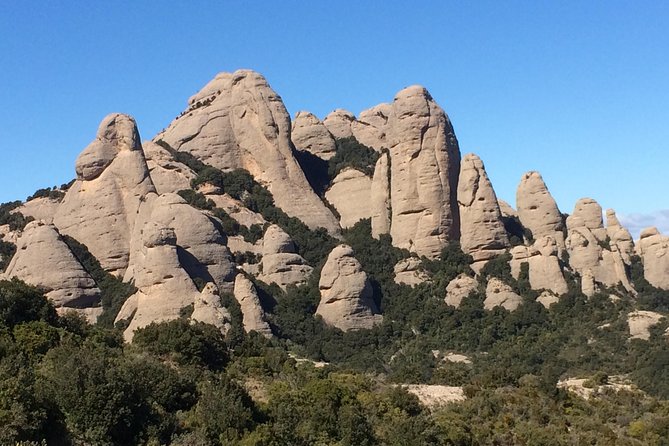 Montserrat Hiking Experience & Monastery Premium Small Group Tour - What the best guides actually do during the day