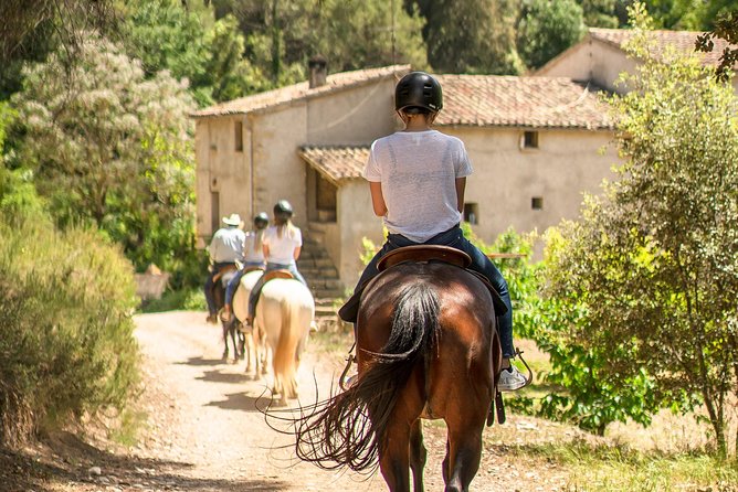 Montserrat Monastery & Horse Riding Experience from Barcelona - Group Size, Timing, and Logistics: How to Avoid a Bad Day