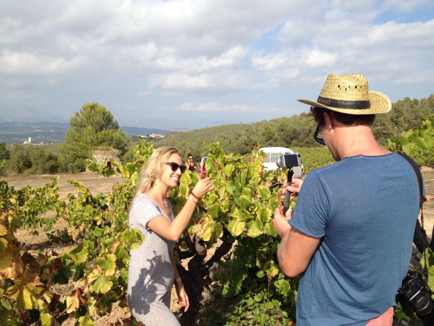 Montserrat Private Day Trip & Codorniu Cava Cellar Tasting - Key Things That Make This Day Feel Worth It