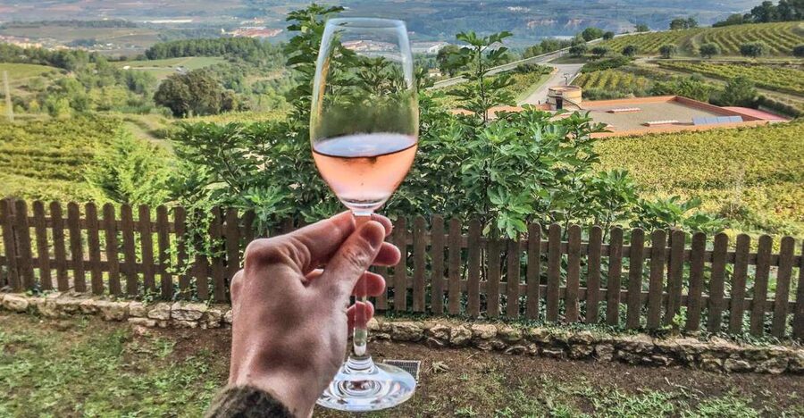 Montserrat Private Day Trip & Codorniu Cava Cellar Tasting - Driving Up: From Barcelona to Montserrat Without the Stress
