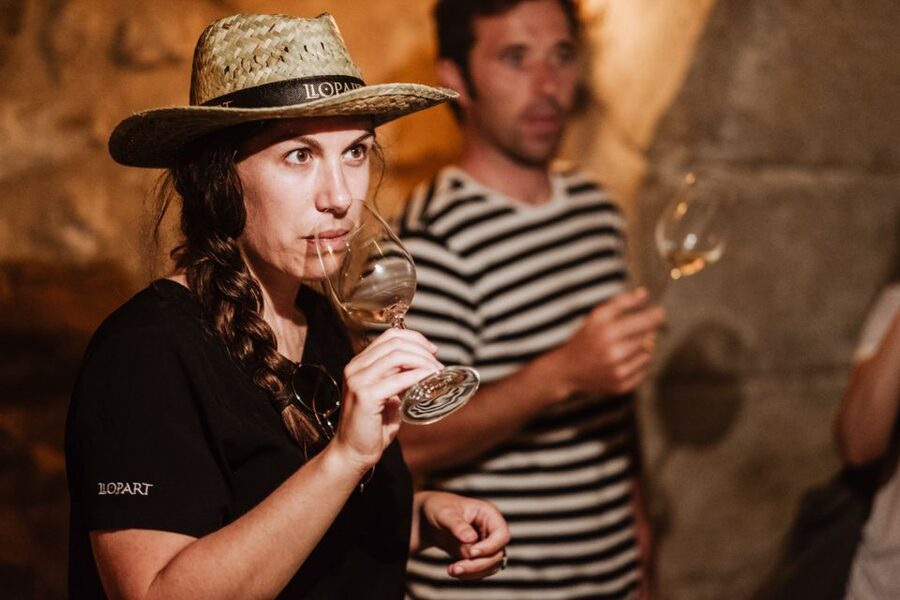 Montserrat Private Day Trip & Codorniu Cava Cellar Tasting - The Viewpoints and the Sant Miquel Cross Walk