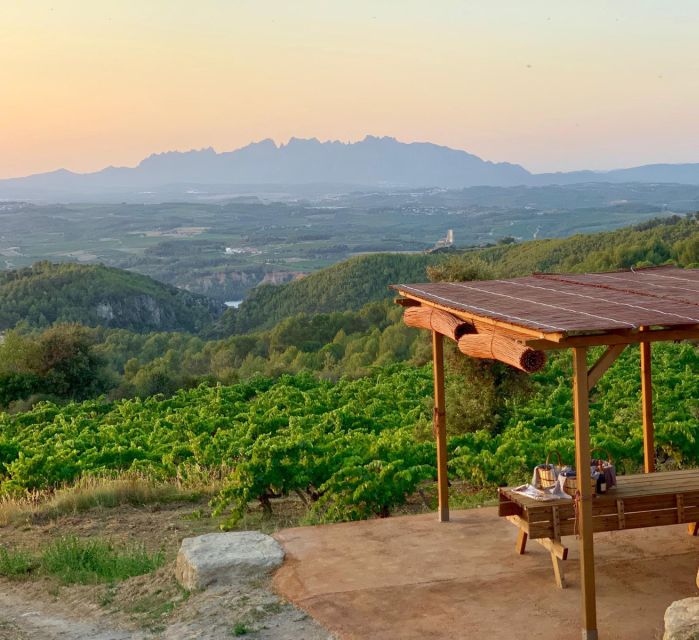 Montserrat Private Day Trip & Codorniu Cava Cellar Tasting - Abbey of Montserrat: Free Time That Lets You Actually See the Place