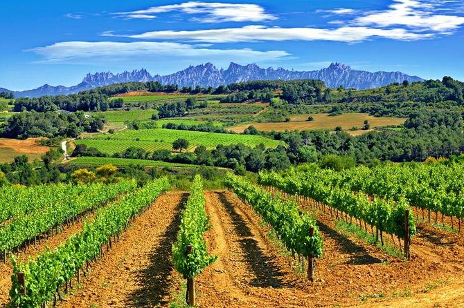Montserrat,Vineyard, Wine Tasting Small Group Tour & Hotel Pickup - Stop by stop at Montserrat: what each place gives you