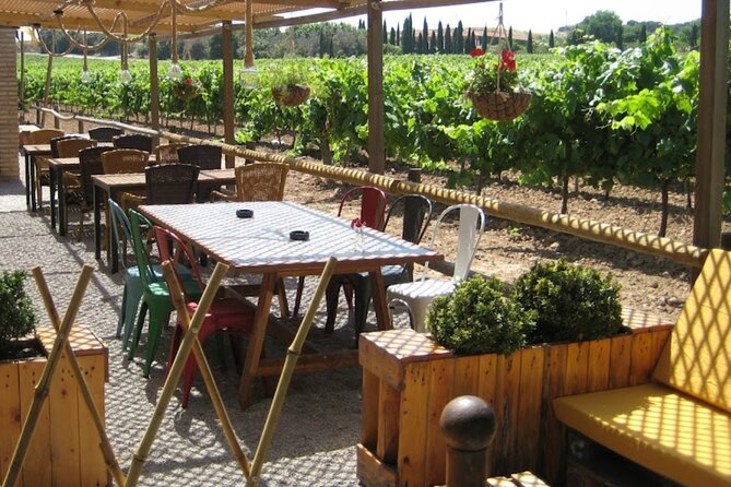 Montserrat & Winery Visit Tour with Traditional Farmhouse Lunch - A smooth morning out of Barcelona (and why the meeting spot matters)