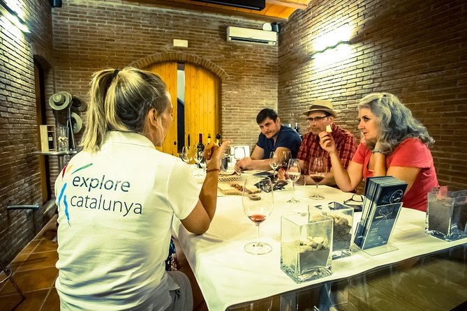 Montserrat & Winery Visit Tour with Traditional Farmhouse Lunch - The Penedes transition: trading mountains for vineyards
