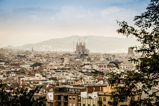 One-way Private Transfer From/To Barcelona Airport - Meet-and-Greet Done Simply: Finding Your Driver Without Stress