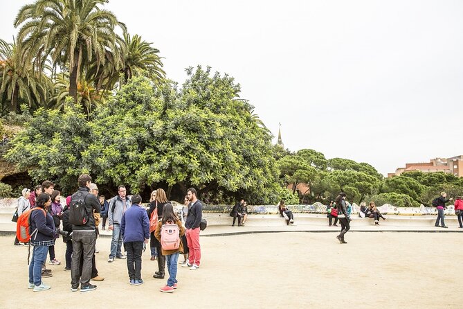 Park Guell Guided Tour with Skip-the-Line Ticket - When to go: weather, heat, and comfort on foot