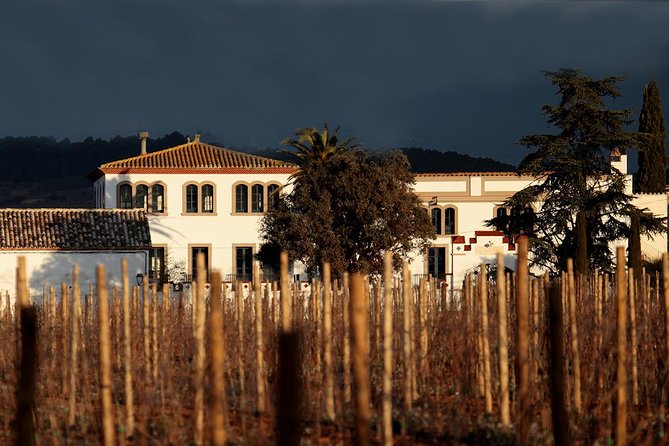 Penedes Wine & Cava Tasting & 4WD Vineyards Tour from Barcelona - Guides, pacing, and why the group size feels like part of the quality