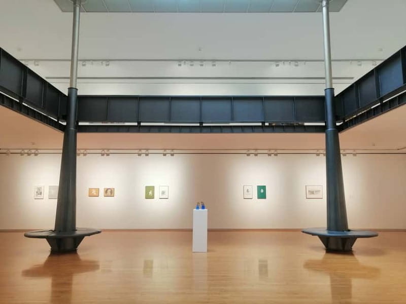 Picasso Museum and Walking Tour Plus Wine Tasting Upgrade - Key Highlights Worth Packing In