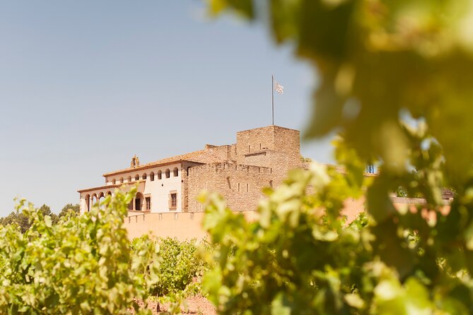 Premium Montserrat & Wine Full Day Tour from Barcelona - Getting to Montserrat without fighting transit