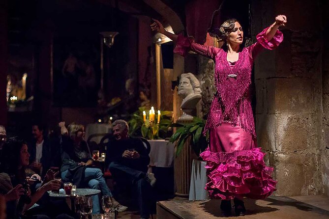 Private Tour: Tapas, Wine & Flamenco Show in Barcelona’s Old Town - Who should book this, and who should think twice