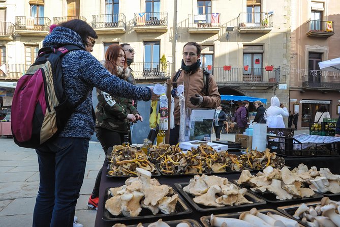 Pyrenees & Medieval Towns Small Group Tour from Barcelona - Long day reality check: who this fits best