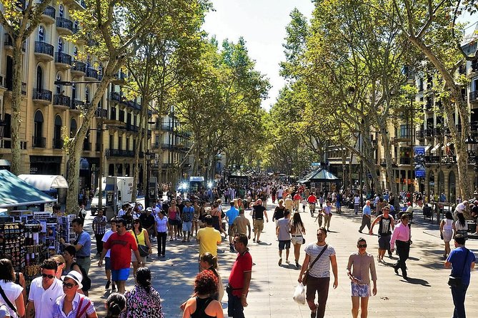 Sagrada Familia & Montserrat Small Group Tour with Hotel pick-up - Montjuic at the start: views, Olympic leftovers, and a quick city reset