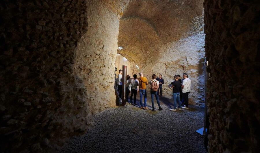 Tarragona: Roman Heritage Guided Walking Tour - Guide Style, Language, and What to Expect When Talking Roman